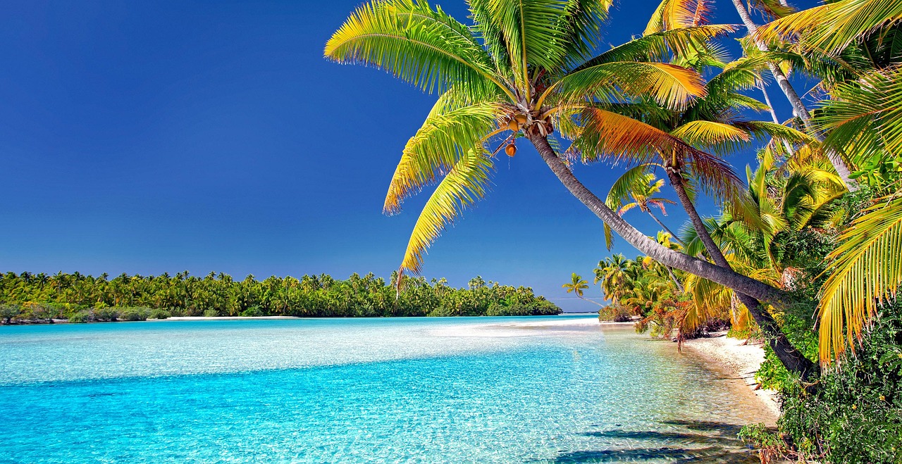 cook islands, beach, palm trees-3998261.jpg