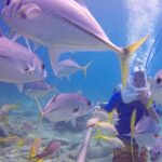 Sea Trek Helmet Dive at Coral World Ocean Park